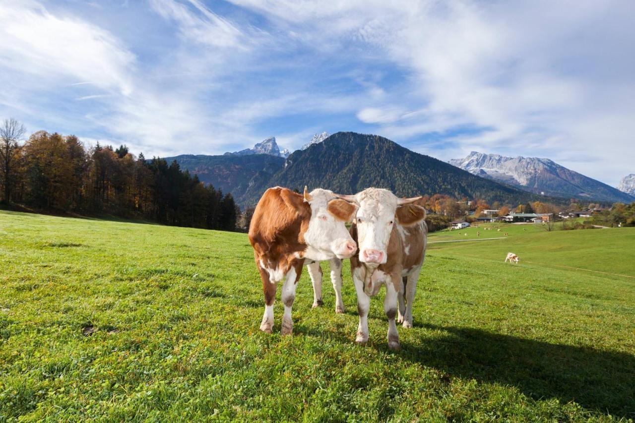 Gaestehaus Untersulzberglehen Schönau am Königssee Kültér fotó